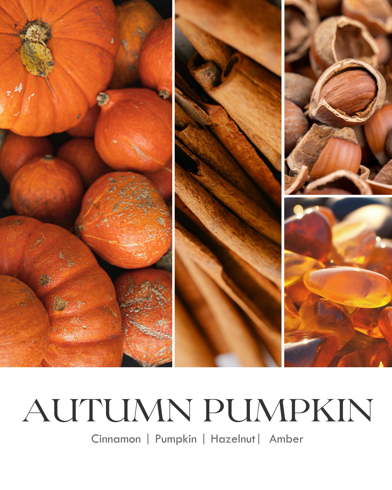 AOOVOO Classic Scented Candle – Spiced Pumpkin