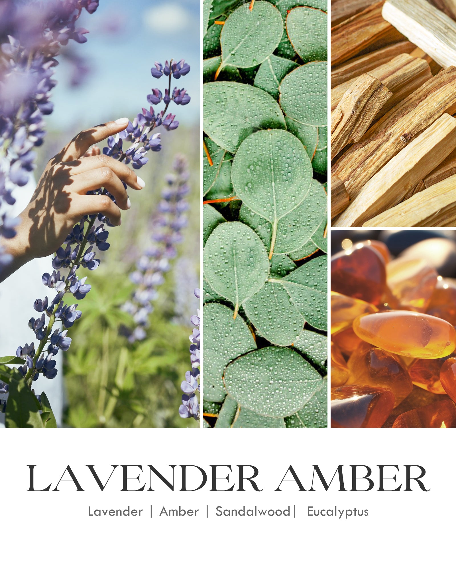 AOOVOO Classic Scented Candle – Lavendar & Amber
