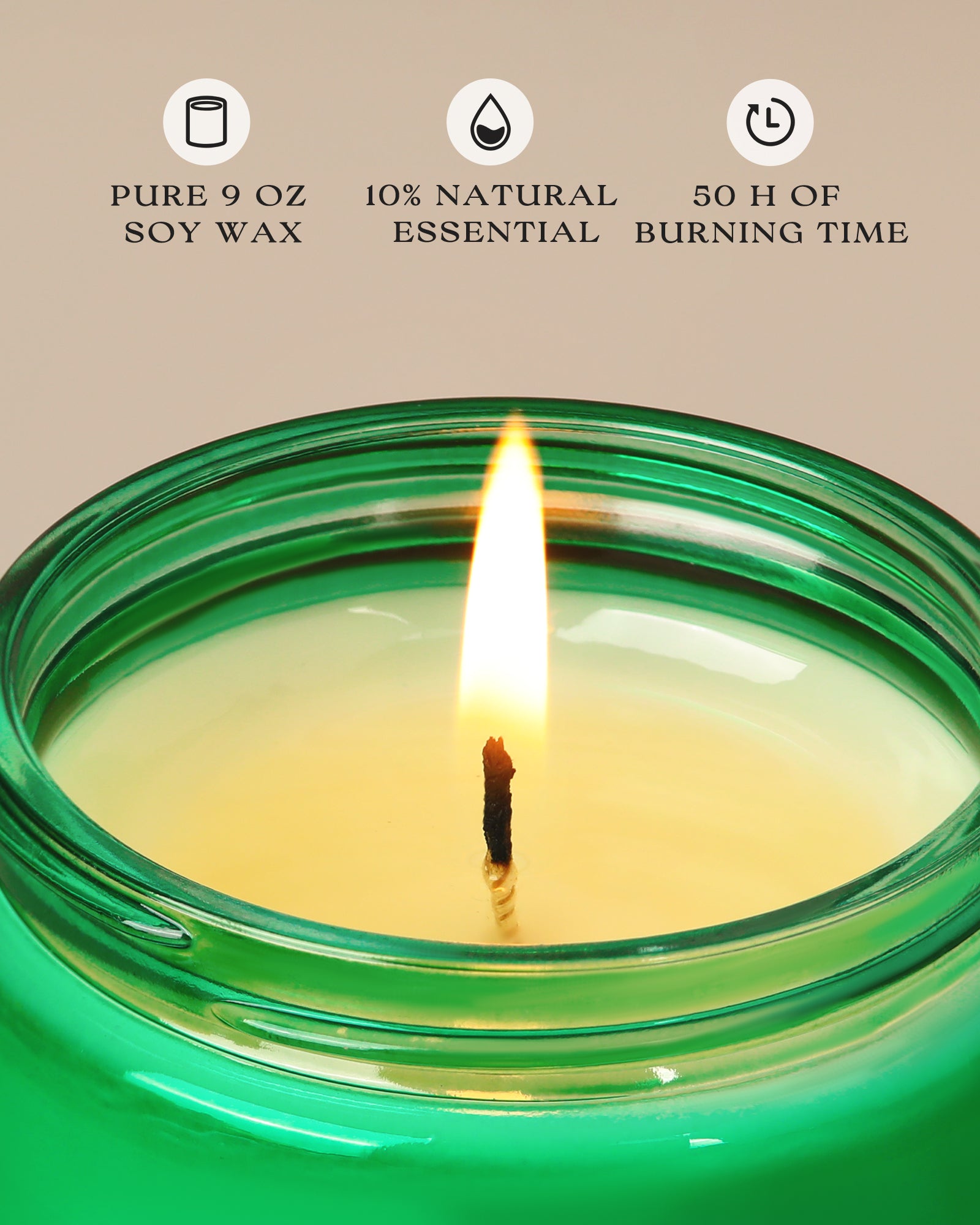 AOOVOO Classic Scented Candle – Balsam & Cedar