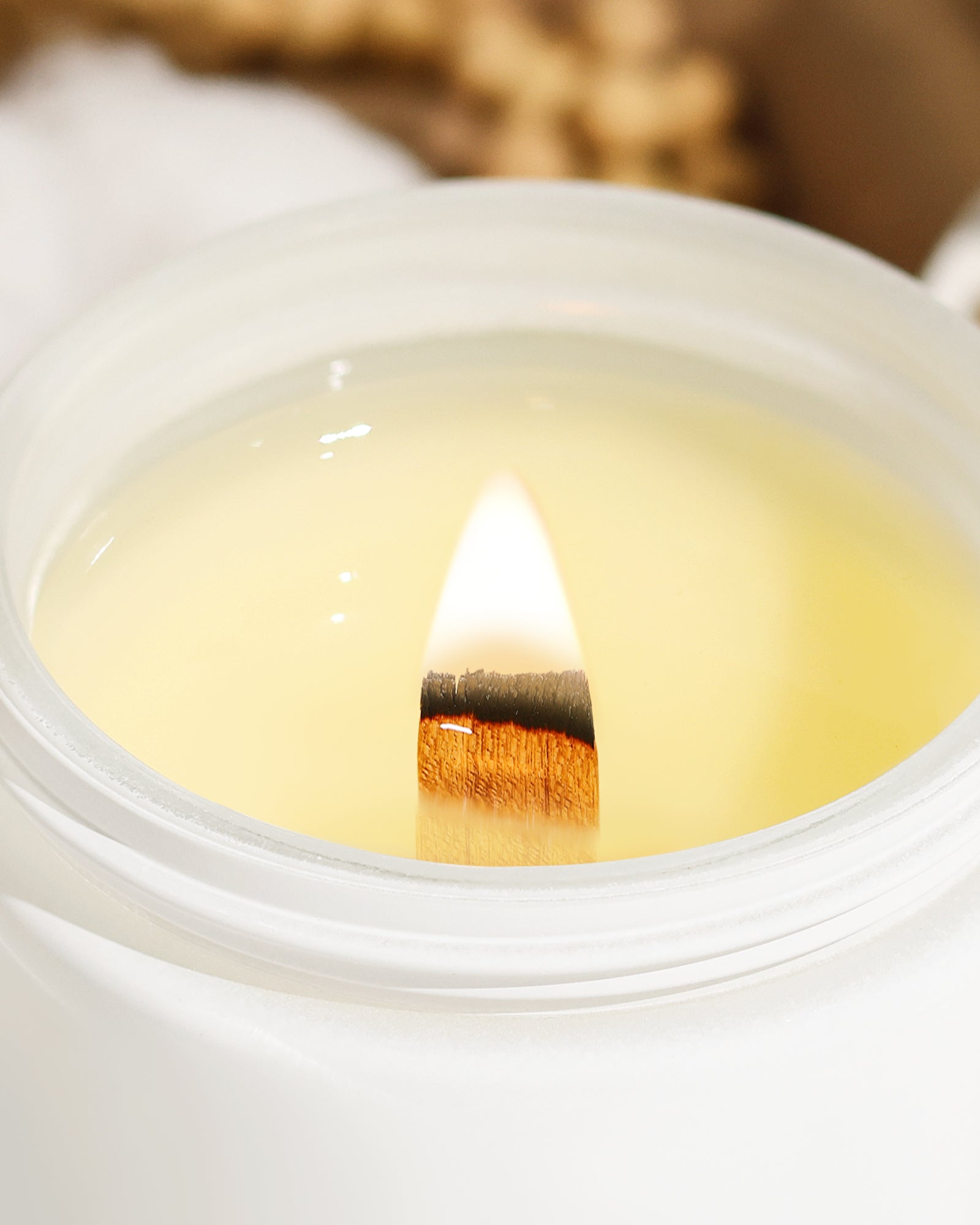AOOVOO Classic Scented Candle –  Sage&Citrus