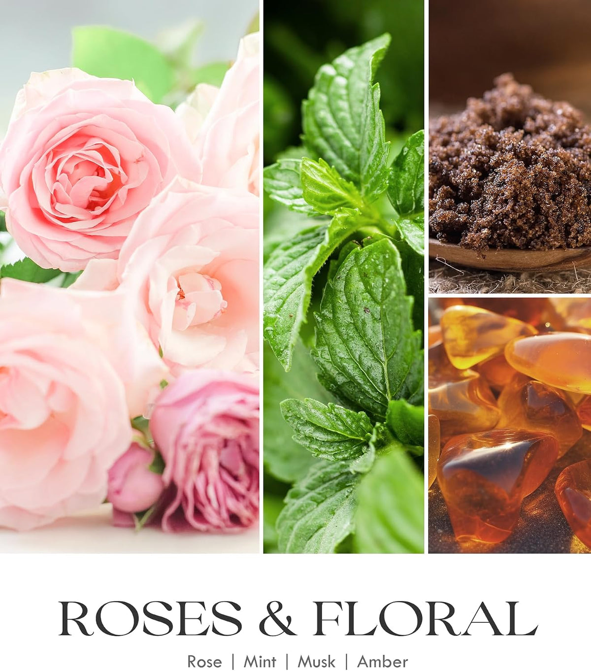 rose, mint, musk, amber scents